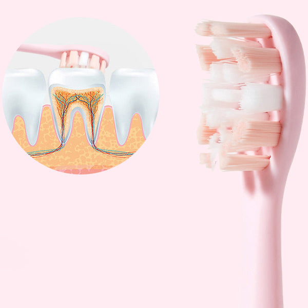 Special Electric Toothbrush Head Three-pack Pink White A&G Small waist 001-01