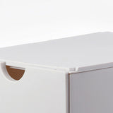 Double-Sided Flip Cover Shoe Storage Box