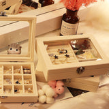 Dustproof Storage Box for Earrings, Earrings, Jewelry