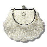 Elegant Beaded Evening Handbag