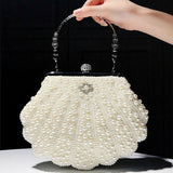 Elegant Beaded Evening Handbag