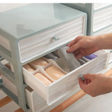 Undergarments Storage Box Compartment Drawer