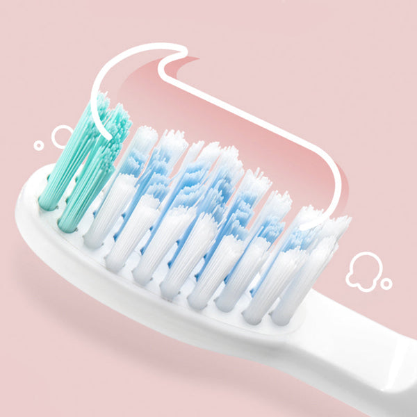 Portable Travel Electric Adult Toothbrush Rechargeable Sonic Vibration BEAR
