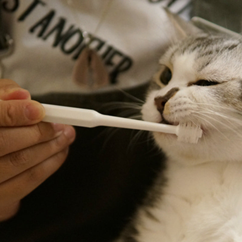 Pet Cat Toothbrush Cleaning Teeth Remove Bad Toothpaste NYANKO CARE